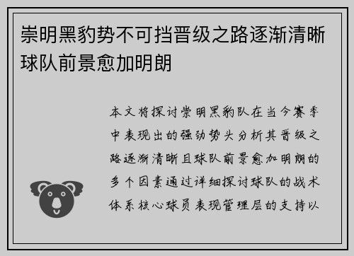 崇明黑豹势不可挡晋级之路逐渐清晰球队前景愈加明朗